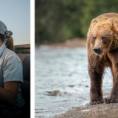 From African safaris to Alaska bears – My Bushwise journey 