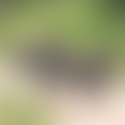 Living my dream under the African sun – My field guide journey