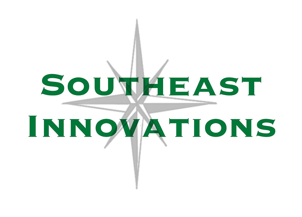 Southeast Innovations Website.jpg