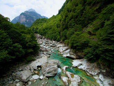 S’installer à Lugano ou au Tessin avec des Animaux: Ce que les Expatriés doivent vraiment faire après l’arrivée
