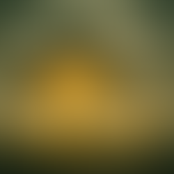 Forbidden— Not Forgotten