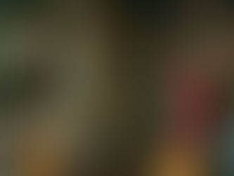 Elevate Your Holidays: Illuminate with Dazzling Decor