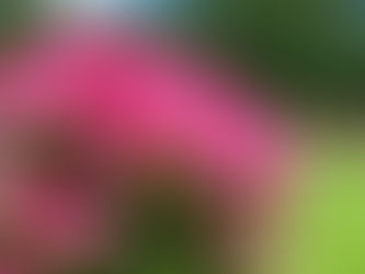 Spring Has Arrived in Brunswick County—Here’s What That Means for Buyers and Sellers