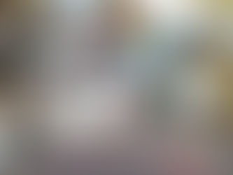 Книжно-иллюстративная выставка «Гений портретной живописи»