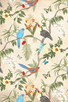 Botanical6