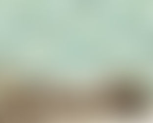Botanical wallpaper