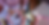 250217_carolina-castello 606_edited.png