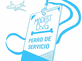 Perro de apoyo emocional viajando con su propietario en Aeroméxico con documentación gestionada por Modest Dog México.