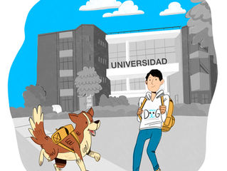 Entrenador canino profesional aplicando educación en positivo y técnicas de conducta animal durante una certificación internacional de adiestramiento canino en Modest Dog México.