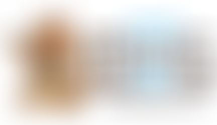 how to qualify for emotional support animal USA ESA requirements documentation Modest Dog US