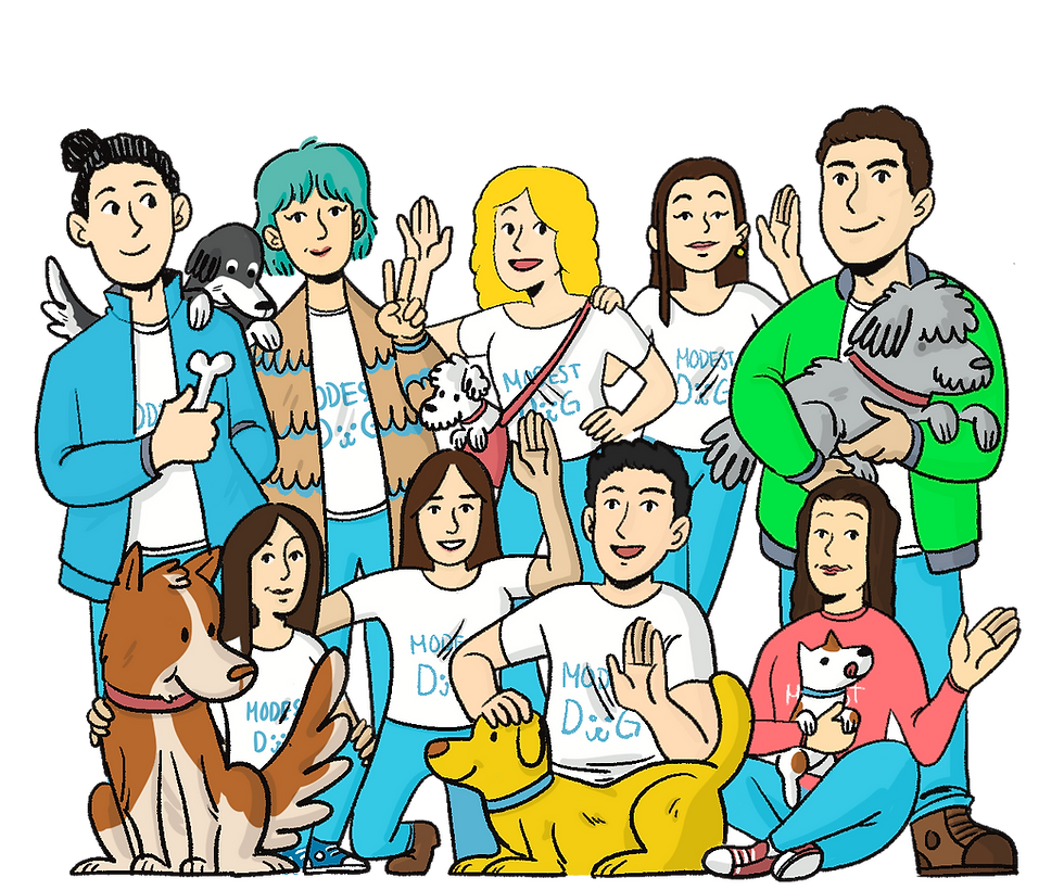 Entrenador de Modest Dog México enseñando técnicas de adiestramiento positivo y conducta animal a perros de servicio y apoyo emocional.