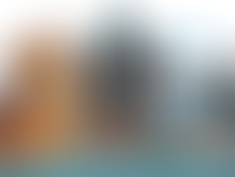 Professional dog training Detroit services including in-home dog training, puppy boarding, and expert dog trainer guidance with Modest Dog US.