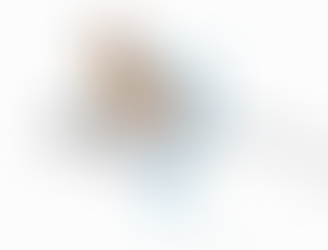 Travel certificate for emotional support dog in Argentina documentation Modest Dog Argentina