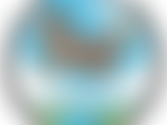 viajar con perro de servicio a México certificación internacional Modest Dog México