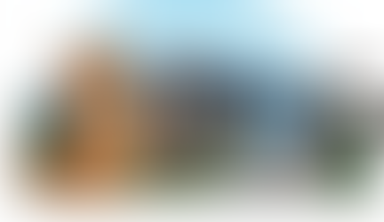 dog training denver professional dog trainer working with puppy during in home dog training session Modest Dog US