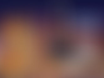 dog training las vegas professional dog trainer working with dog during in home training session Modest Dog US