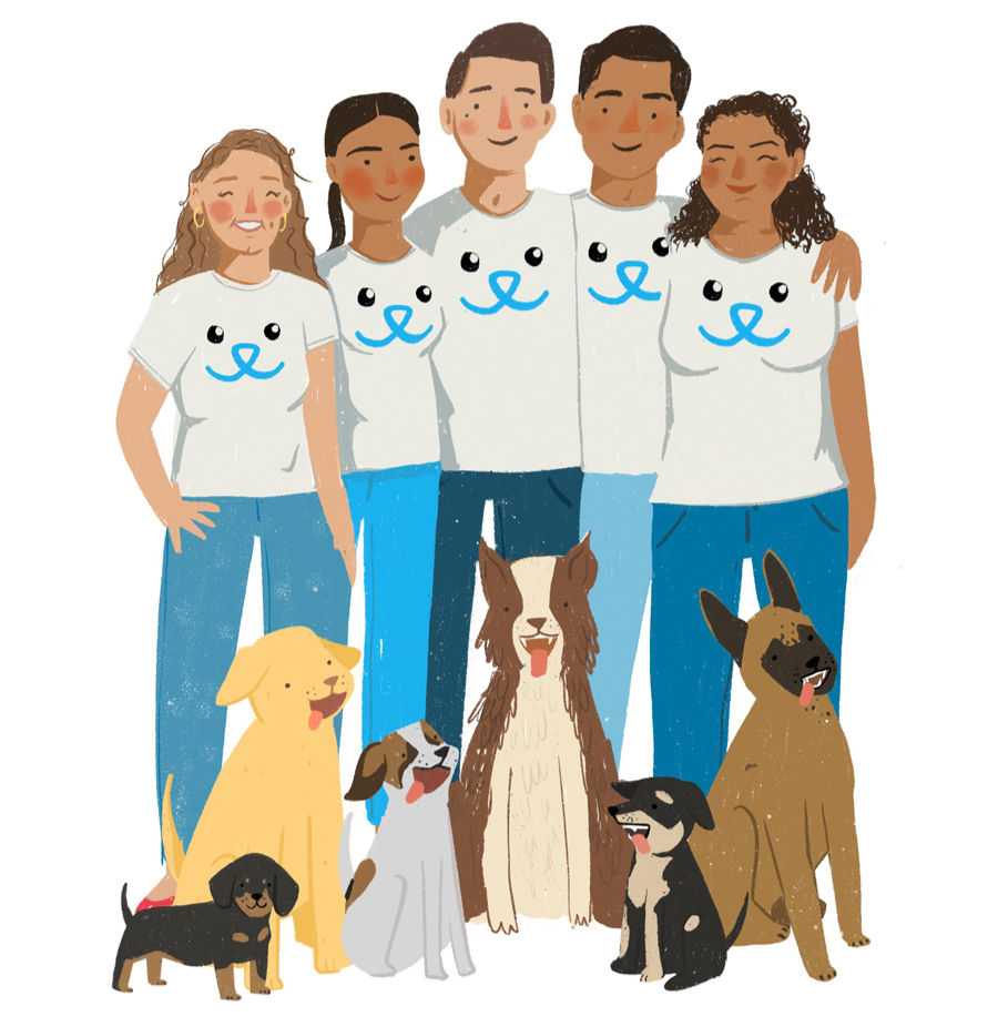 certificación internacional de entrenador canino en positivo Modest Dog México