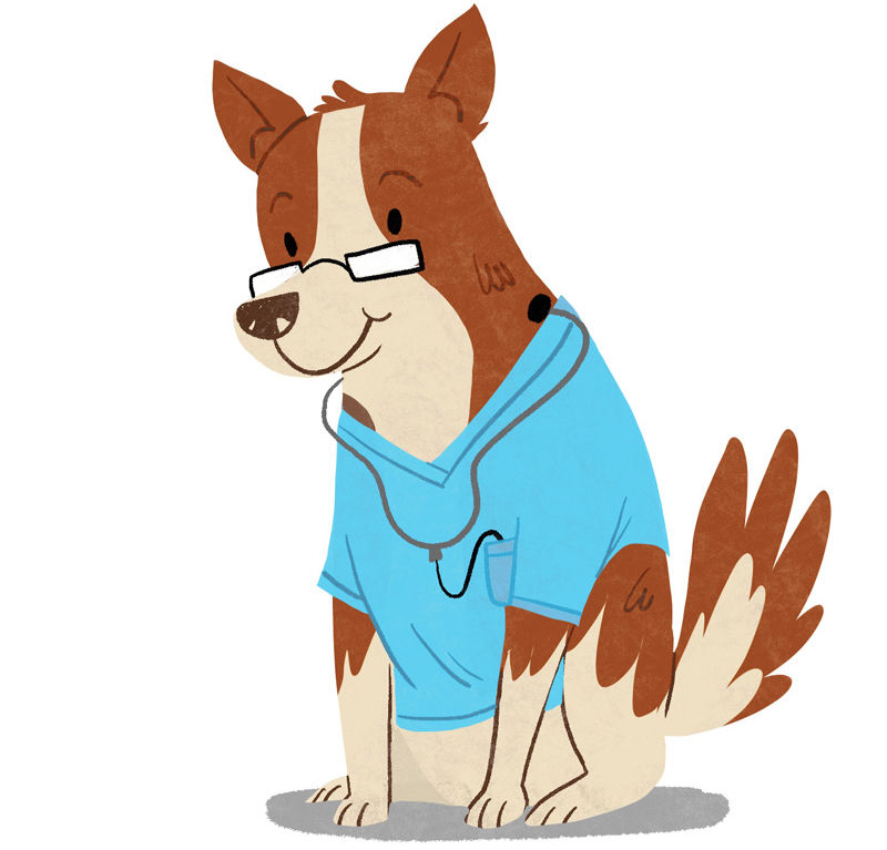 veterinario a domicilio en Guadalajara atendiendo mascota en casa Modest Dog México