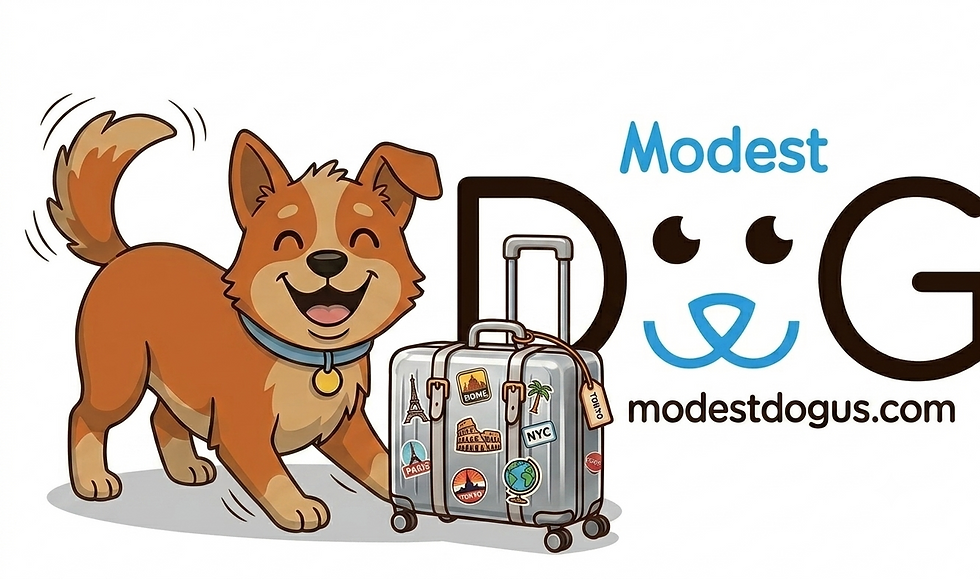 Documentación para viajar internacionalmente con un animal de servicio y perro de apoyo emocional preparada con el apoyo de Modest Dog México.