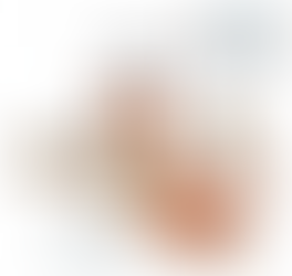 emotional support dog laws USA certification housing public access guide Modest Dog US