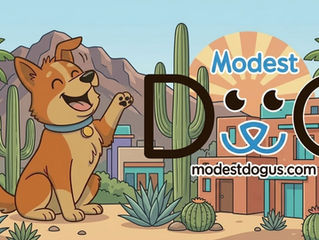 dog training phoenix puppy boarding program professional dog trainer working with dog Modest Dog US