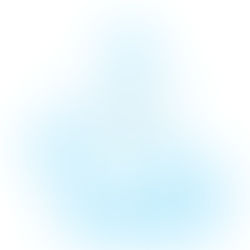 servicio de perros de guardia y protección profesional en Mexico con entrenamiento especializado por Modest Dog Mexico