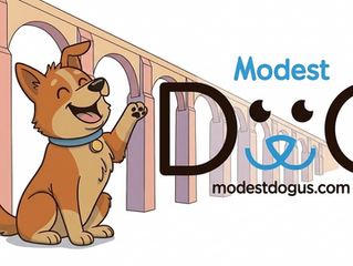 adiestramiento canino queretaro entrenamiento de perros a domicilio educacion en positivo Modest Dog Mexico