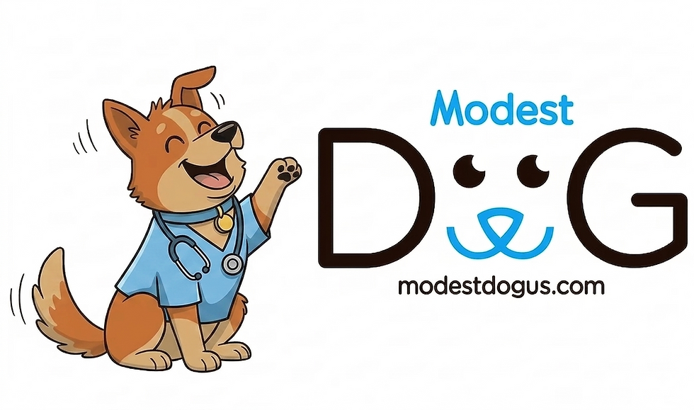 cada cuánto debe ir un perro al veterinario