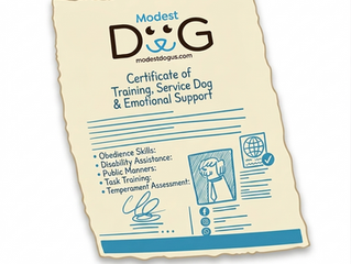 can a landlord deny ESA letter USA housing approval emotional support animal Modest Dog US