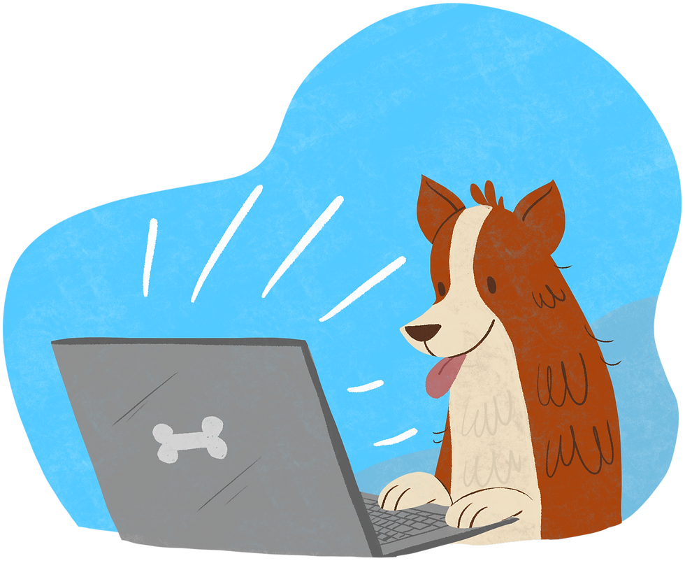 Convivencia equilibrada entre perro y tutor gracias a una guía adecuada.