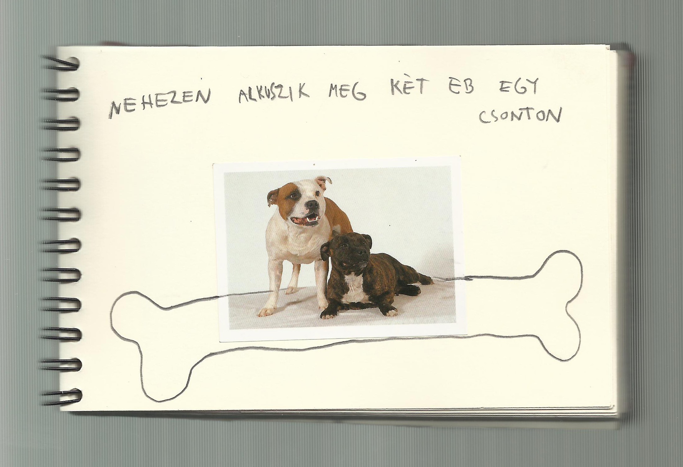 One dog 20