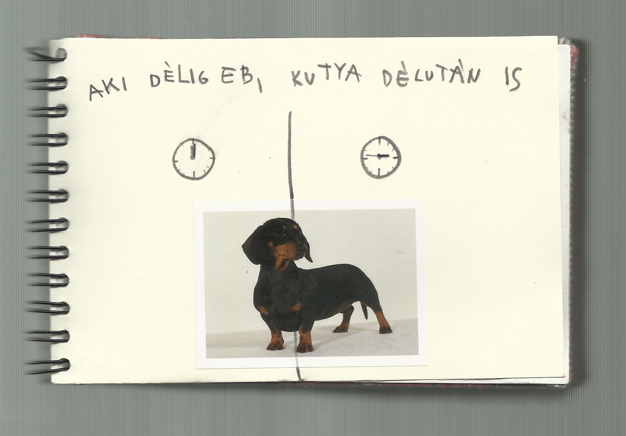 One dog 40
