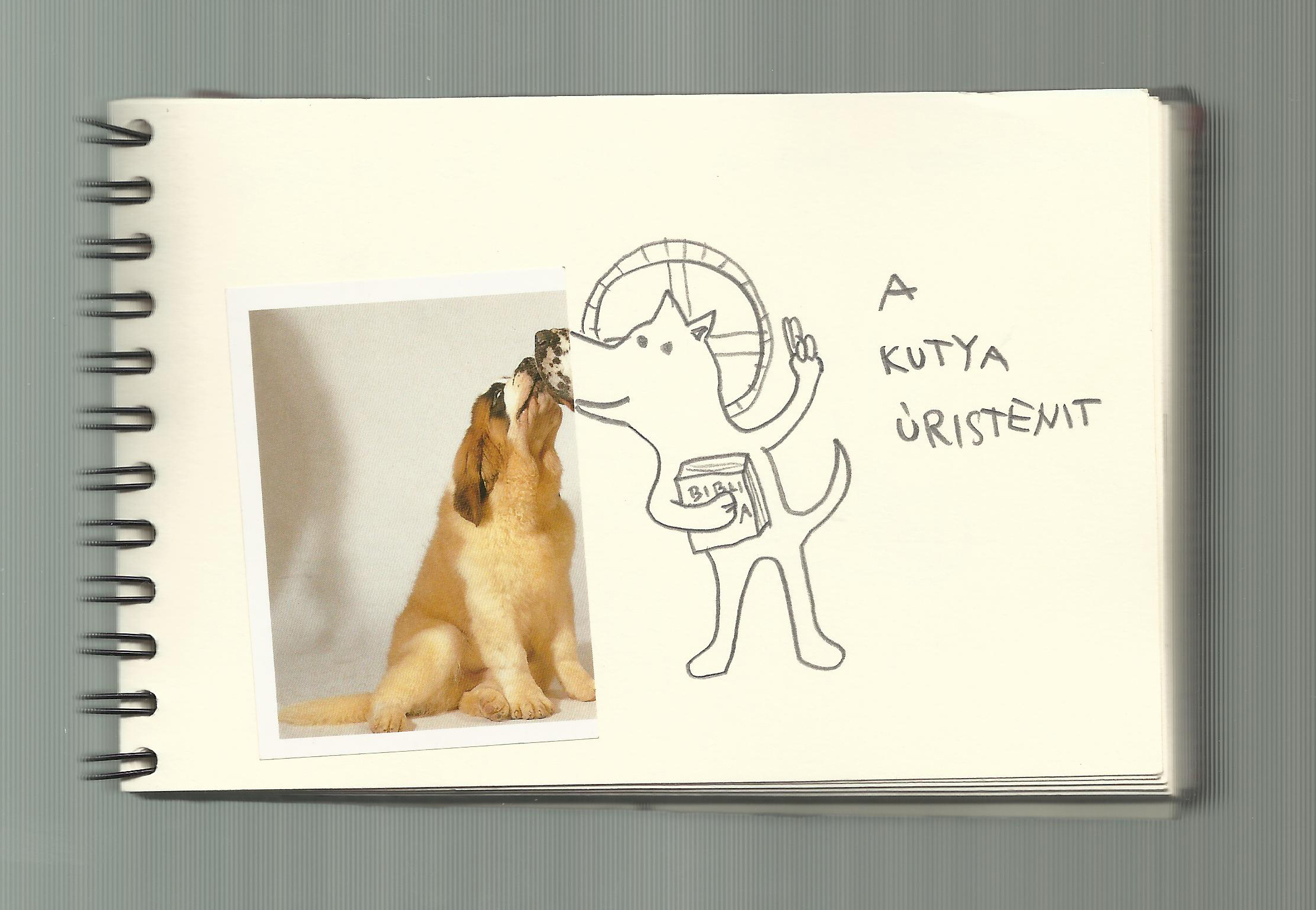 One dog 21