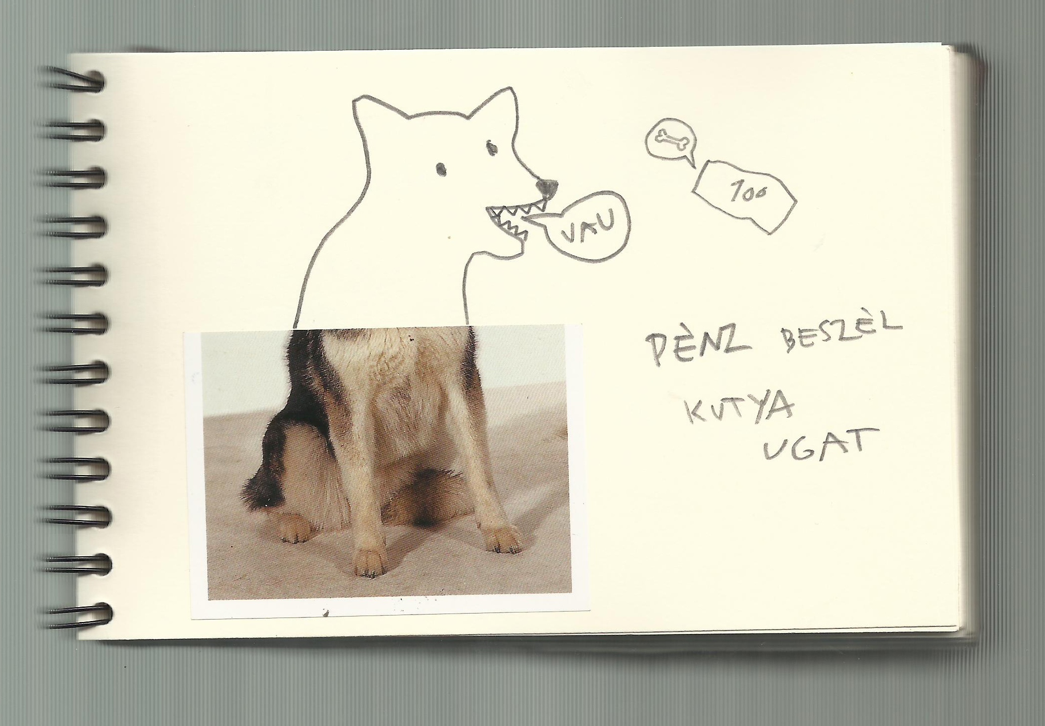 One dog 10