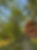 IMG_0398.jpeg