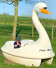 Large Swan Play Activity
