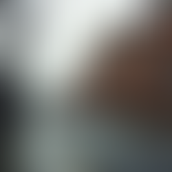 Preserving the Past: Building a Future for Greater Manchester's Historic and Heritage Architecture