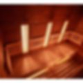 sauna.png
