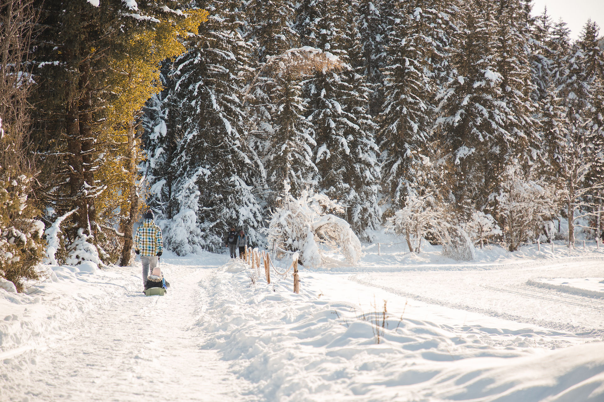Séance photo famille à Corrençon en Vercors en hiver