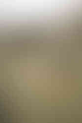 séance d'écriture créative sous les oliviers