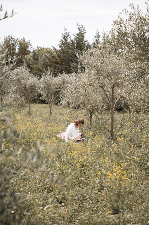 séance d'écriture créative sous les oliviers