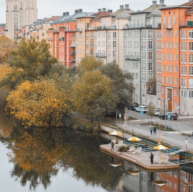 Parenthèse nordique : la Suède en van et en famille