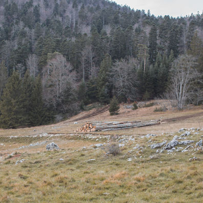 Balade dans le Vercors