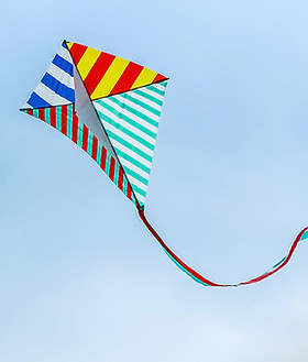 Kite in the Sky