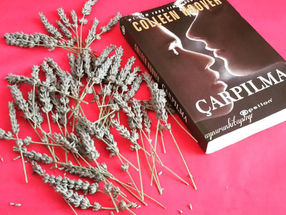 Çarpılma - Colleen Hoover