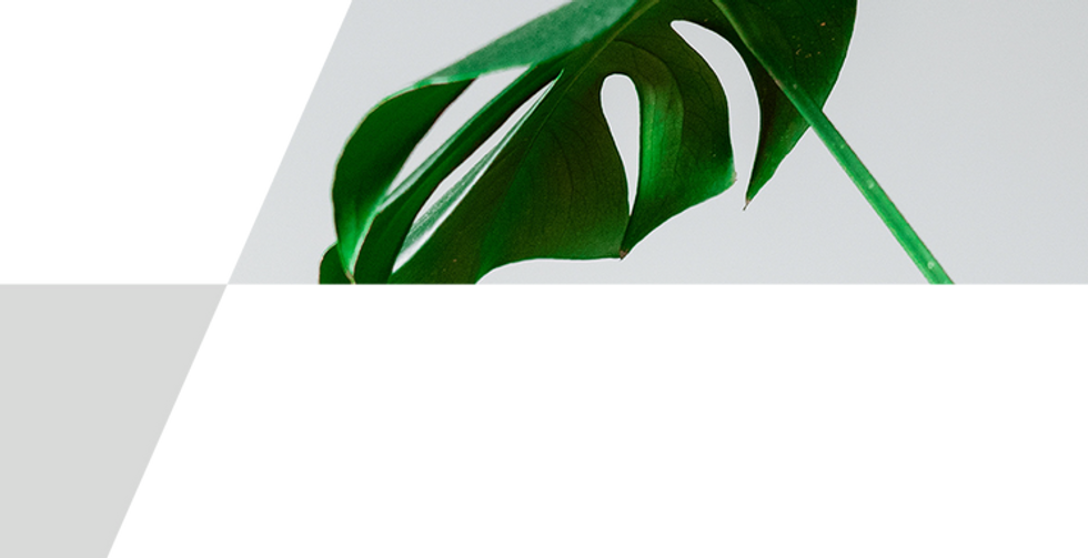 treapta personalizata4-01.png