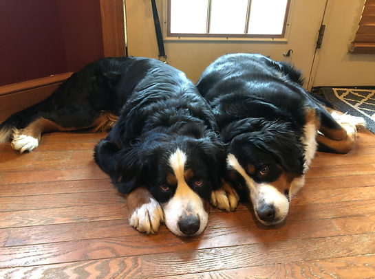 TWINS.jpg