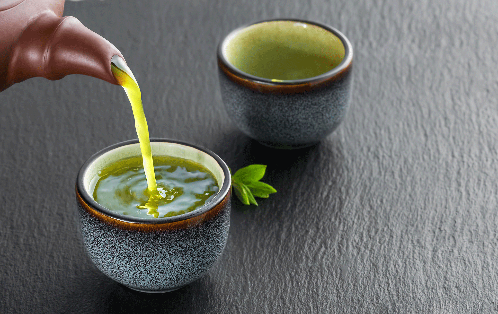 TÌM HIỂU VỀ 10 LOẠI TRÀ KHÁC NHAU