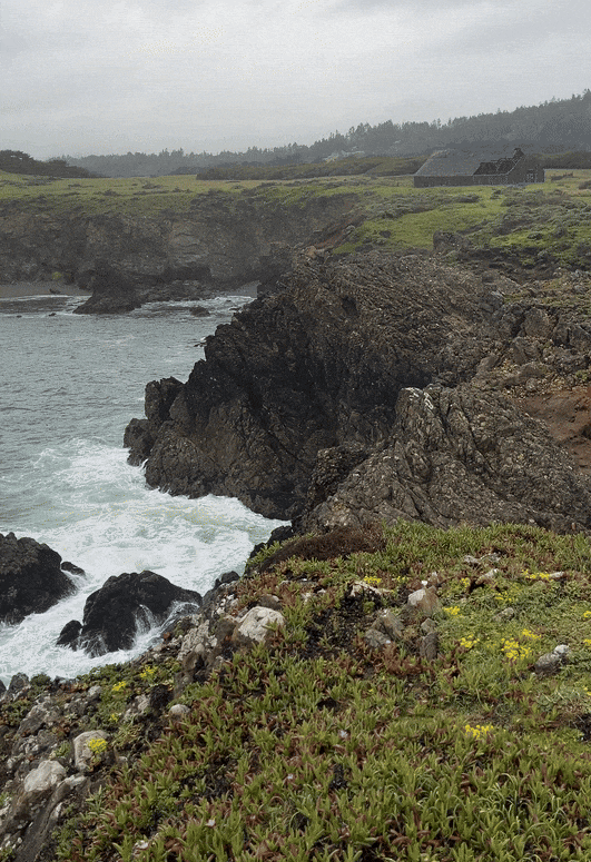 SeaRanch.gif