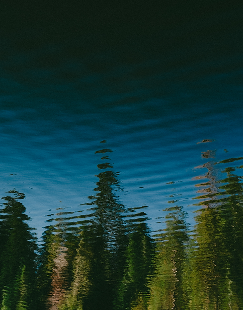 Gallery_SuttleLodge01.png